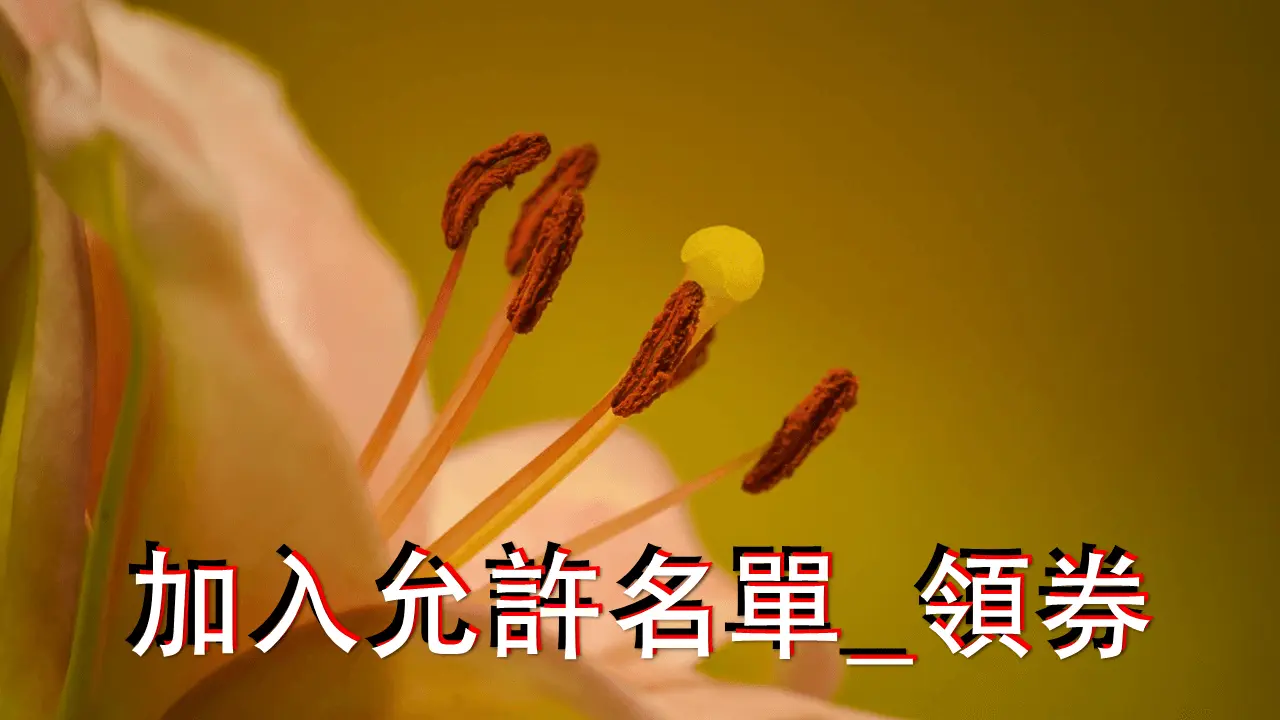 您專屬的_促銷活動網站影片封面