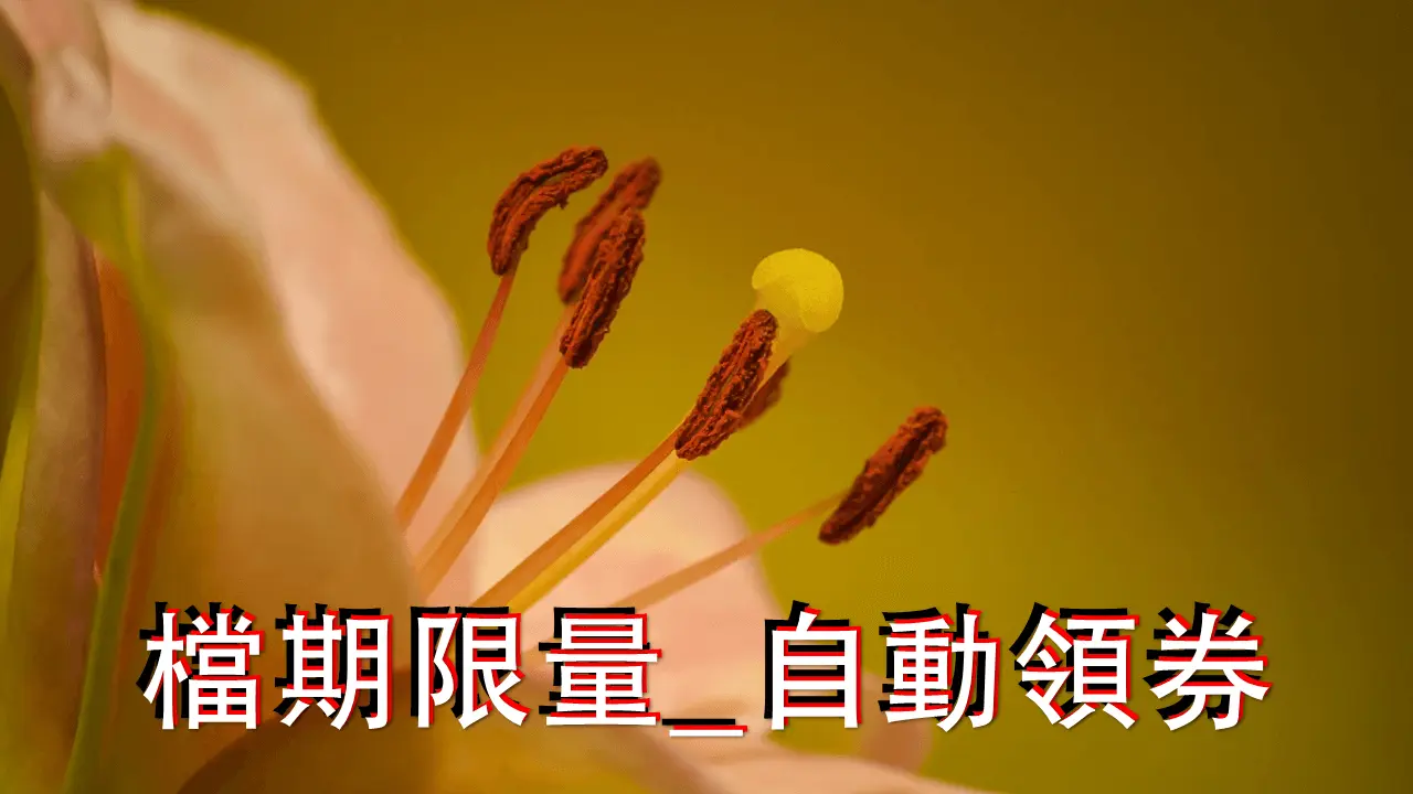 您專屬的_促銷活動網站影片封面